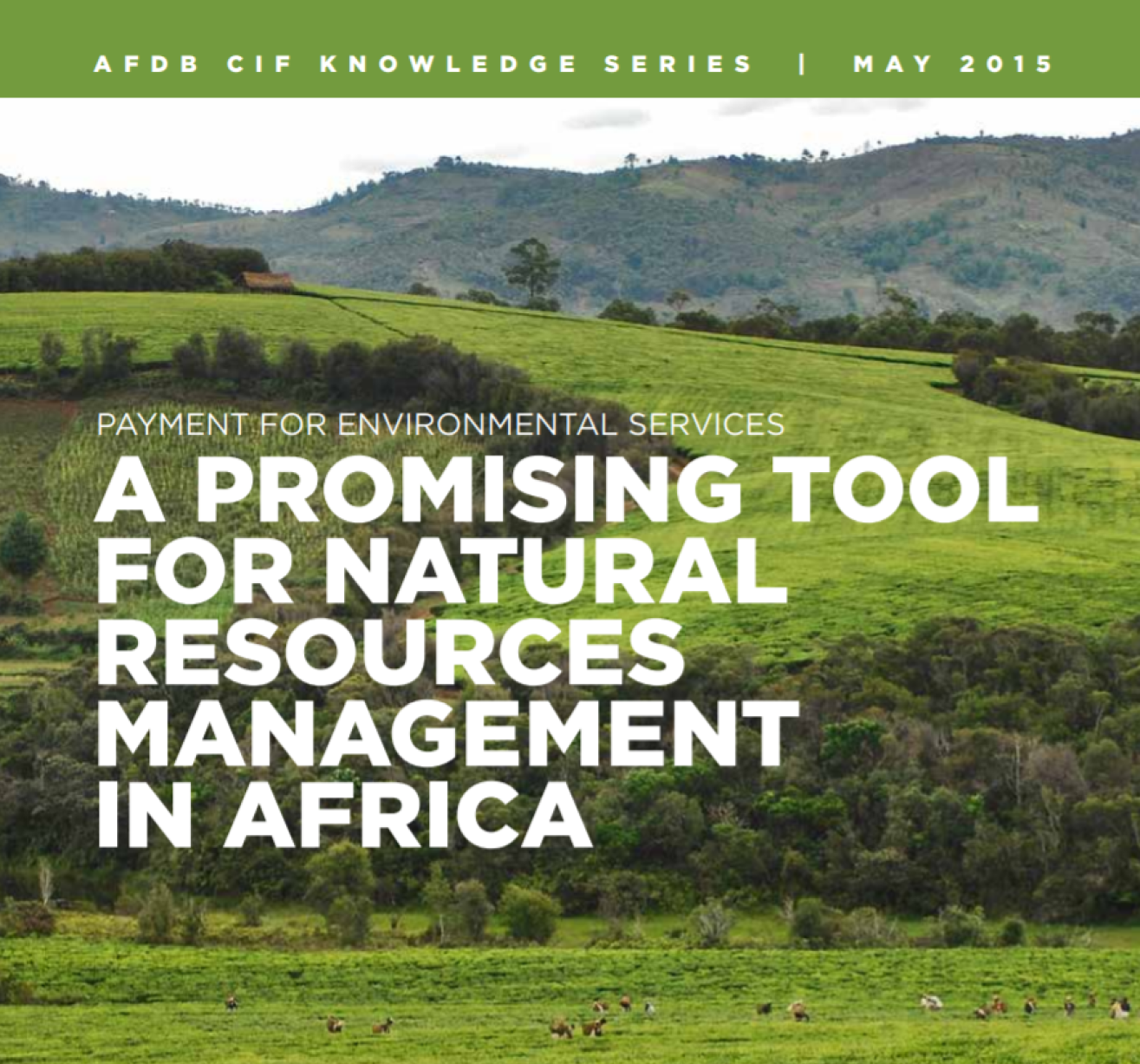 Payment for environmental services – A promising tool for natural resource management in Africa